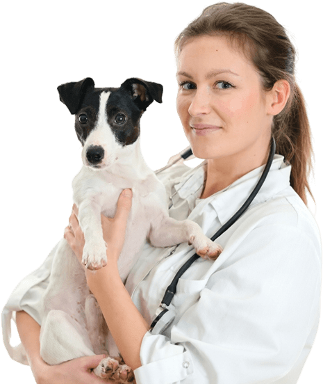 Арина Тимофеева