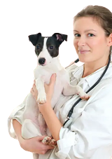 Арина Тимофеева