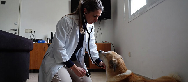 Оборудование 4